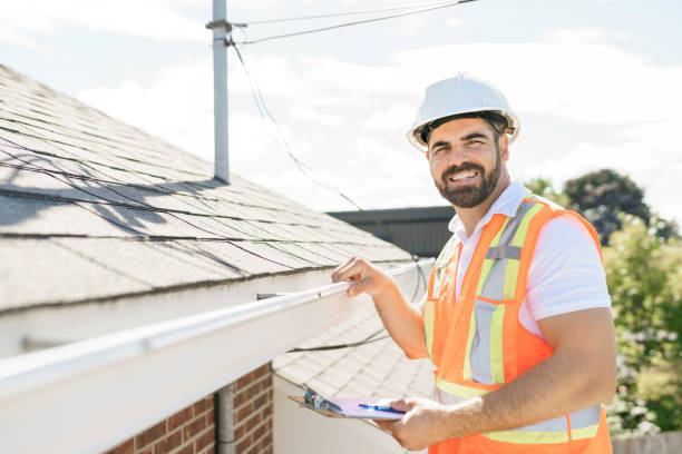 Roof Moss and Algae Removal in Grandwood Park, IL